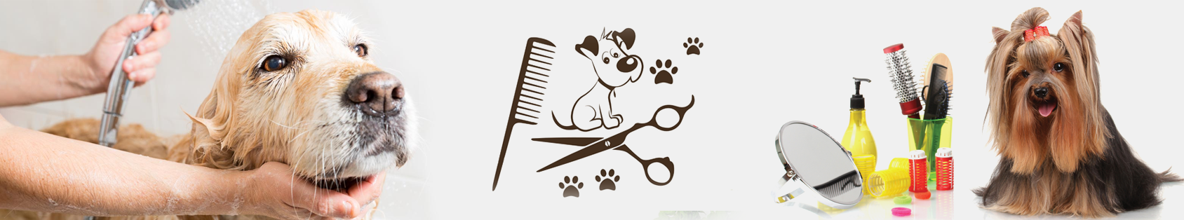 Pet Grooming in Bangalore