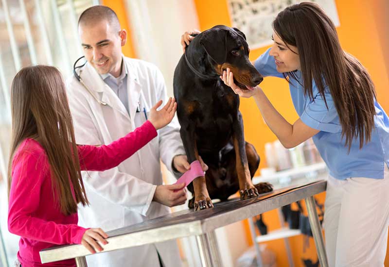 Best Pet Hospital in Sarjaura Road